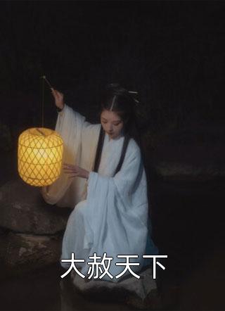 助理肇事逃逸，妻子要我负全责洛青衣寒川全局