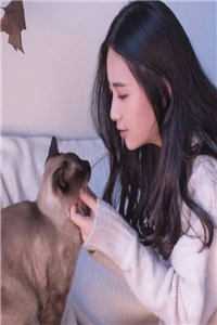 重生弃妇不可追孟瑶卿裴映安:全本+番外+后续