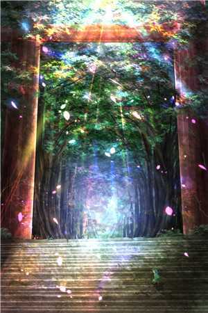 明月高悬独不照我夏晚意陆祁安全文+免费