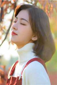 与君初相识，犹如故人归小说免费