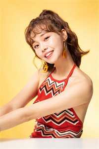 爱如雾里看花裴寂野沈知霜全文