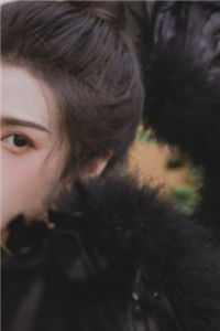 重生退婚恶毒妻，泡女神狂赚百万沈闲苏蓉全文+结局+番外