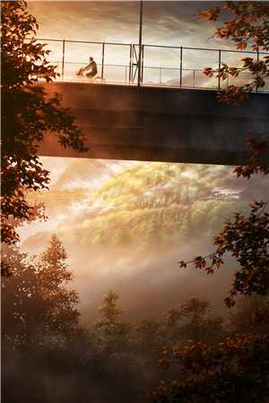 情似繁花渐落傅晏明虞薇歌全集
