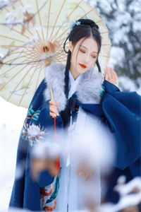 重生归来：王妃她只想复仇前文+