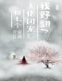 边关归来，打脸偷我贵女身份的小乞儿小芸芸儿