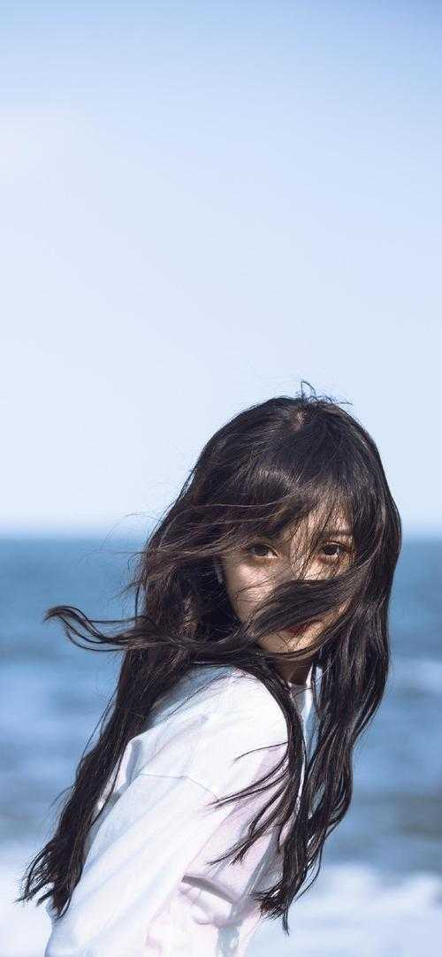 鱼死网破许清风死忠粉小说