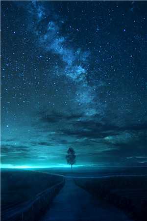 重生后我让天降紫薇星糊了:结局+番外