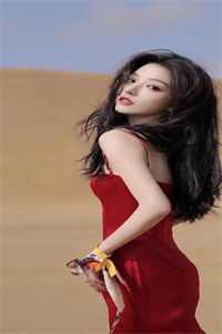 爱如明月终成灰烬小说免费