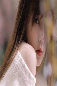 绝美女领导全文免费