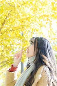 谢尽长安花:(番外)+(全文)