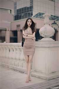 谢尽长安花沈照霜宁砚:全本+番外+后续