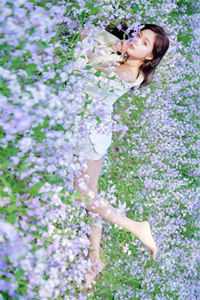月从云，花有风全章阅读