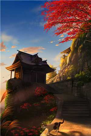 爱烬如尘全文+结局+番外
