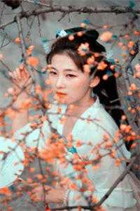 月从云，花有风在线