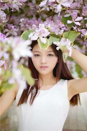 闻月花未眠安玥宋闻璟:全本+番外+后续
