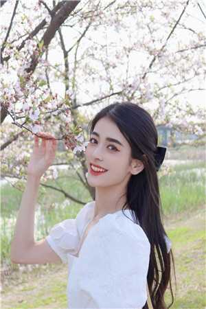 谢尽长安花优质全文阅读