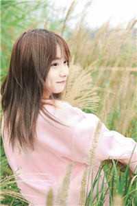 花惜花落碾入泥秦枫沈蔓小说结局