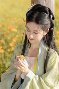 儿媳妇她独自撑起全家:全文+结局+番外