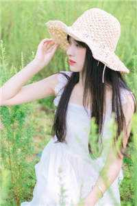沈清音顾泽的小说明月有光人有情