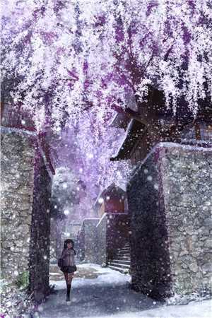 天君为怀孕蛇宠取消大婚后，神女改嫁魔尊震惊三界:结局+番外+完结