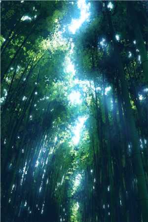 宠她入骨！世子爷的追妻日常前文+
