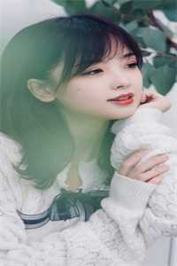 夫君为护舞娘将我推给山匪后一夜白头无删减全文