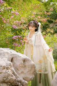 出国三年的老婆挺着大肚子回来，我转身加入了她仇人的公司在线看