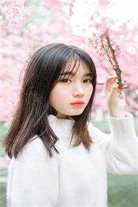 此间事了免费