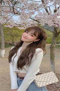 匪斗无情，血养碑林小说