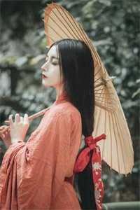 穿进红楼，我贾环精通朝堂争斗贾环王熙凤全局