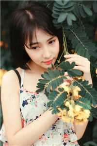 正义使命无删减+无广告