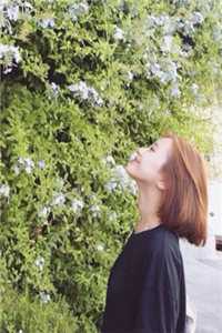 七零军婚：炮灰女配要当科研大佬苏青禾狗蛋:全文+后续+结局