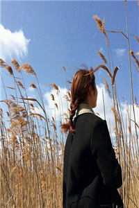 夫君杀妻灭子，我决定附身疯公主报仇全章阅读