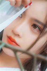 梦里与君再相识全文+番茄