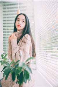 我离职后，双标女友悔断肠姜婉郑霖:前文+后续