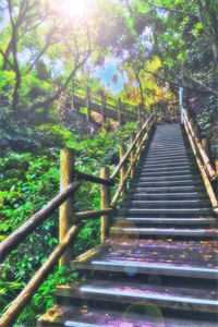 乌云散尽见青山小说免费阅读全文