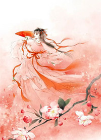 如果雪落满上海滩前文+番外