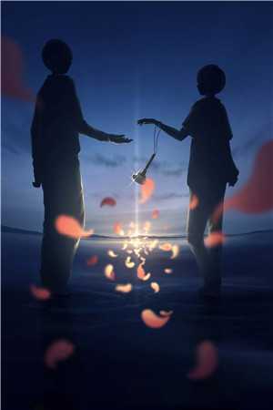 她在黎明等待苏野时晚晴结局+番外