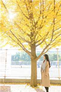 重生宠婚，娇妻爱如蜜