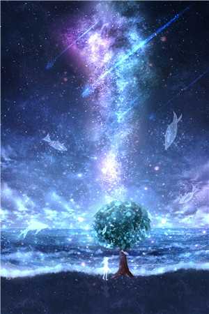 丰泽王