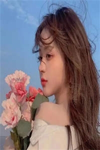 免费小夜曲