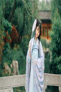 傻妃重生后，腹黑王爷跟她杠上了精品小说