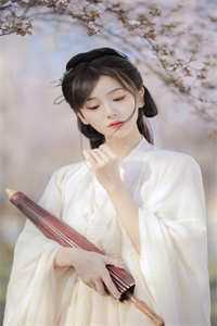 无弹窗畅游荒岛，女神成了我迷妹
